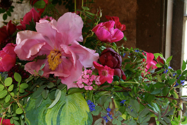 Flowers for Special Events: Tree peonies and roses, late May