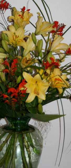 Flowers for Special Events: A line of lilies